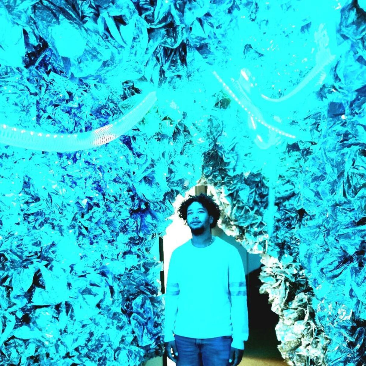 Fruit of Forbidden Love album cover